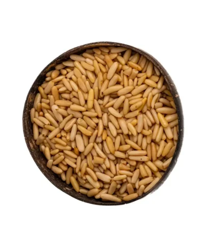صنوبر حبة طويلة