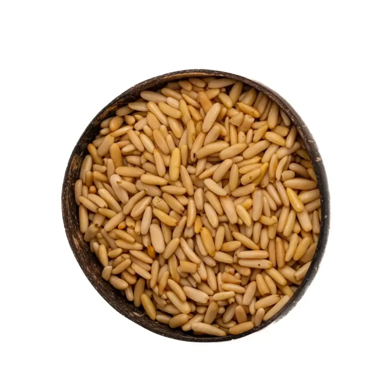 صنوبر حبة طويلة