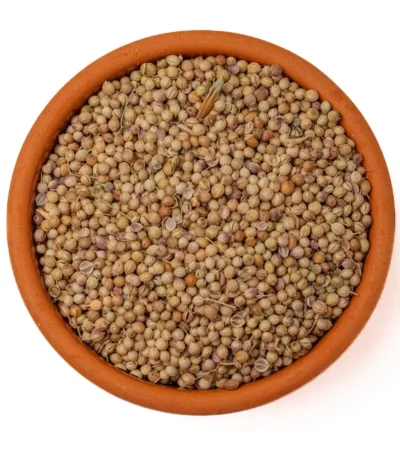 كزبرة-حب