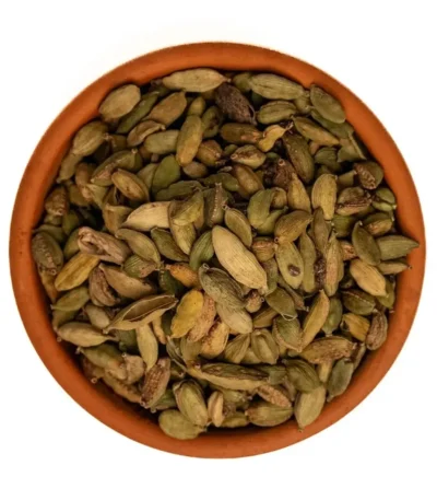 هال حب تربس