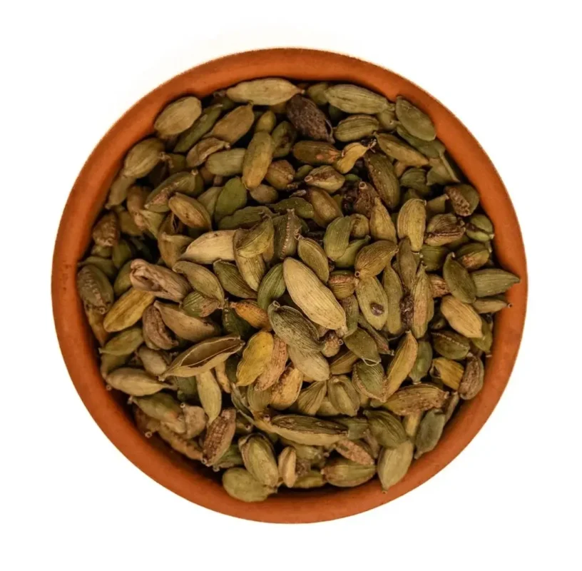 هال حب تربس