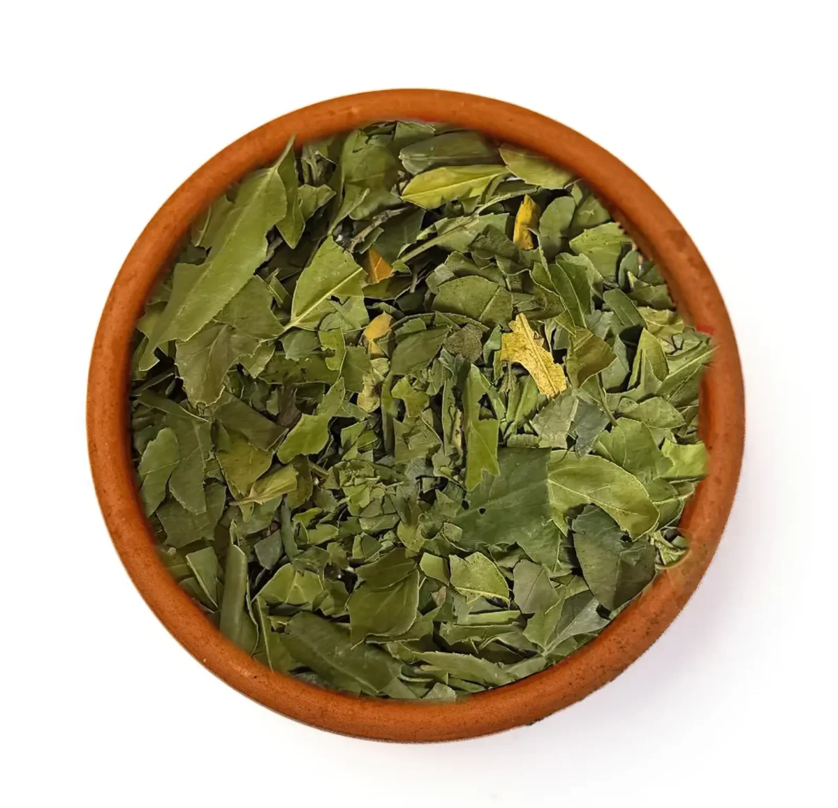 ورق الصدر