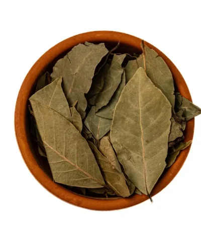 ورق غار