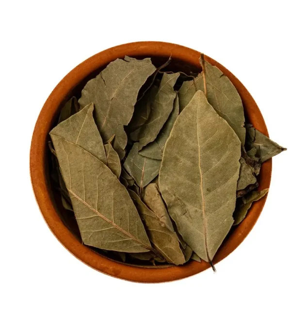 ورق غار